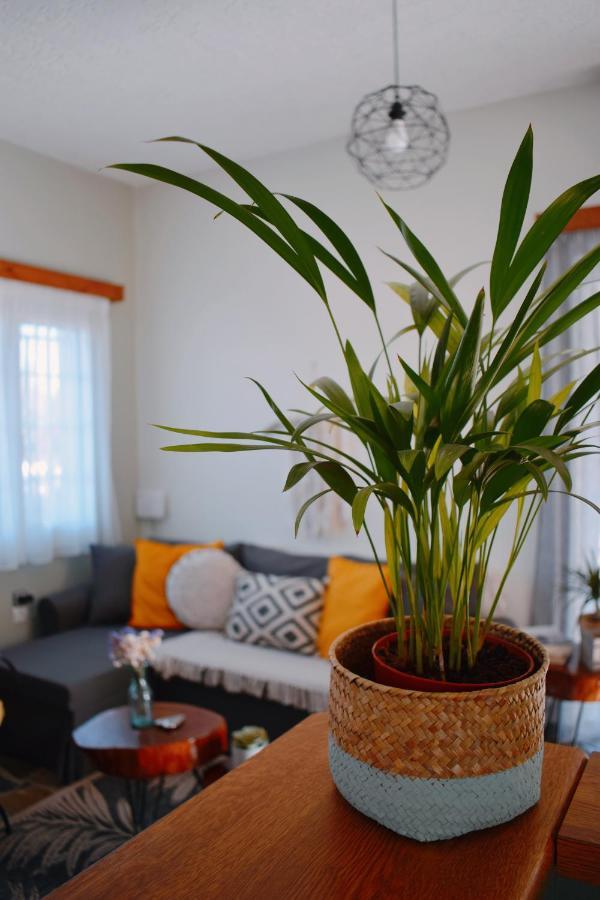 Elia'S House Traditional & Cozy By 8Essentially カリヴェス エクステリア 写真